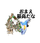 ハイクオリティ野鳥のメッセージ（個別スタンプ：19）