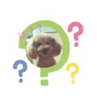 こてミルスタンプ（個別スタンプ：6）