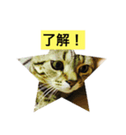 こてミルスタンプ（個別スタンプ：8）