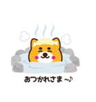 柴犬ぼたんpart2（個別スタンプ：5）