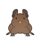 デグーっぽいなにか（個別スタンプ：37）