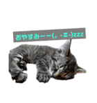 キキとココ（個別スタンプ：8）