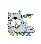 しいかのスタンプ（個別スタンプ：38）