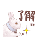 リアカワうさぎ2（個別スタンプ：1）