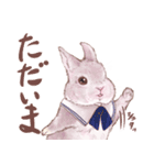 リアカワうさぎ2（個別スタンプ：6）