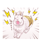 リアカワうさぎ2（個別スタンプ：14）