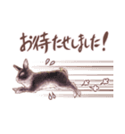 リアカワうさぎ2（個別スタンプ：31）