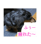 ぴょんスタンプ2（個別スタンプ：5）