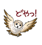 フクロウ大好き！パート2（個別スタンプ：17）