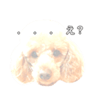 ❤️可愛い動物❤️（個別スタンプ：3）