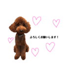❤️可愛い動物❤️（個別スタンプ：7）