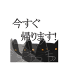 敬語ぬこ（個別スタンプ：9）