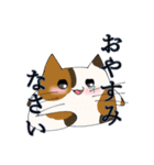 敬語ぬこ（個別スタンプ：23）