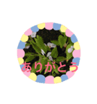 Yassy's Stanp（個別スタンプ：6）