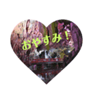 Yassy's Stanp（個別スタンプ：14）