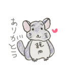 気ままにチンチラ（個別スタンプ：2）