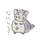 気ままにチンチラ（個別スタンプ：3）