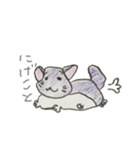 気ままにチンチラ（個別スタンプ：5）