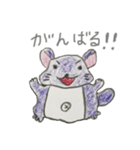 気ままにチンチラ（個別スタンプ：8）