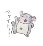 気ままにチンチラ（個別スタンプ：13）