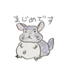 気ままにチンチラ（個別スタンプ：23）