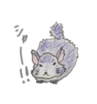 気ままにチンチラ（個別スタンプ：31）