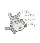 気ままにチンチラ（個別スタンプ：36）