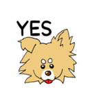 片耳たれ犬（個別スタンプ：1）