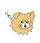 片耳たれ犬（個別スタンプ：4）