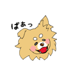 片耳たれ犬（個別スタンプ：5）