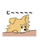 片耳たれ犬（個別スタンプ：7）