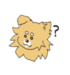 片耳たれ犬（個別スタンプ：10）