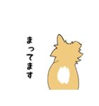 片耳たれ犬（個別スタンプ：11）