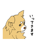 片耳たれ犬（個別スタンプ：12）