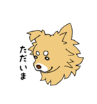 片耳たれ犬（個別スタンプ：13）