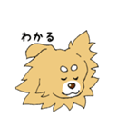 片耳たれ犬（個別スタンプ：14）