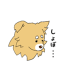 片耳たれ犬（個別スタンプ：15）