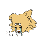 片耳たれ犬（個別スタンプ：16）