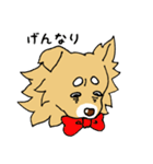 片耳たれ犬（個別スタンプ：19）