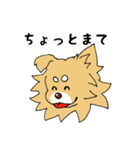 片耳たれ犬（個別スタンプ：30）