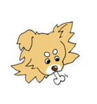 片耳たれ犬（個別スタンプ：38）
