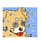 片耳たれ犬（個別スタンプ：40）