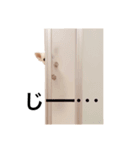 ちーのしゅたんぷ（個別スタンプ：6）