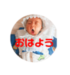 セトくんの日々（個別スタンプ：1）