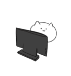 【猫】 専用 // もちネコ。（個別スタンプ：17）
