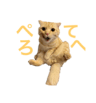 うにすたんぷす（個別スタンプ：2）