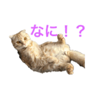 うにすたんぷす（個別スタンプ：4）