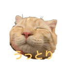 うにすたんぷす（個別スタンプ：6）