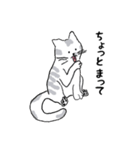 キジネコ日記（個別スタンプ：1）