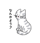 キジネコ日記（個別スタンプ：4）